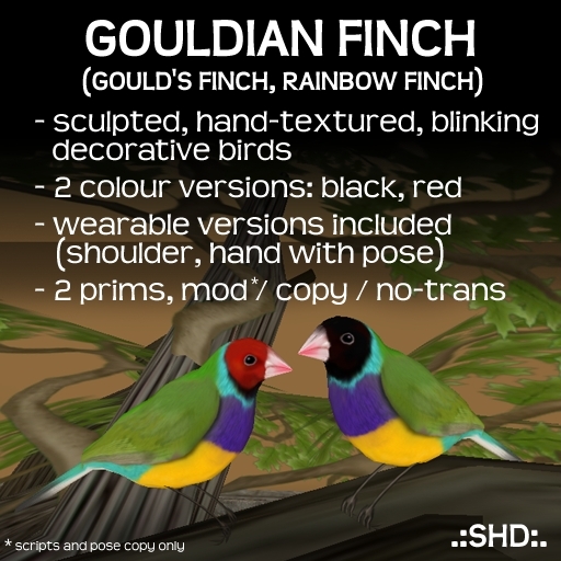 Gouldian Finch (Rainbow Finch) .:SHD:.
