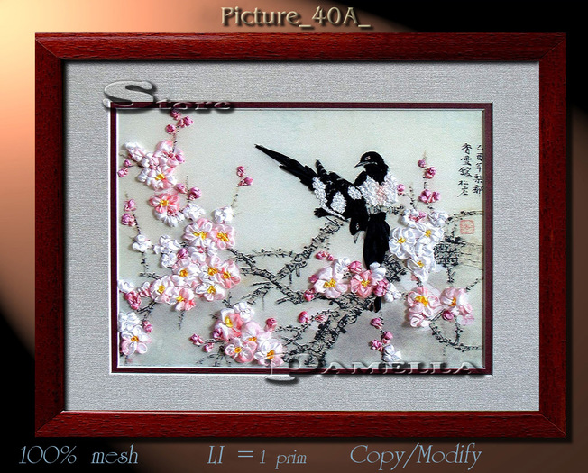 Picture_40A_