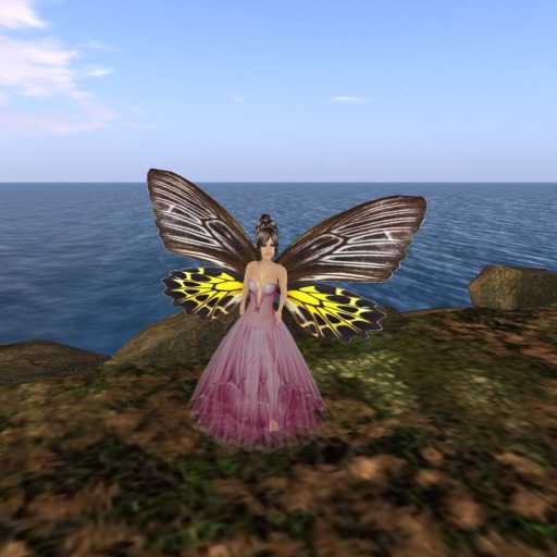 Petite YellowBlackWhite Butterfly Wings V1.0