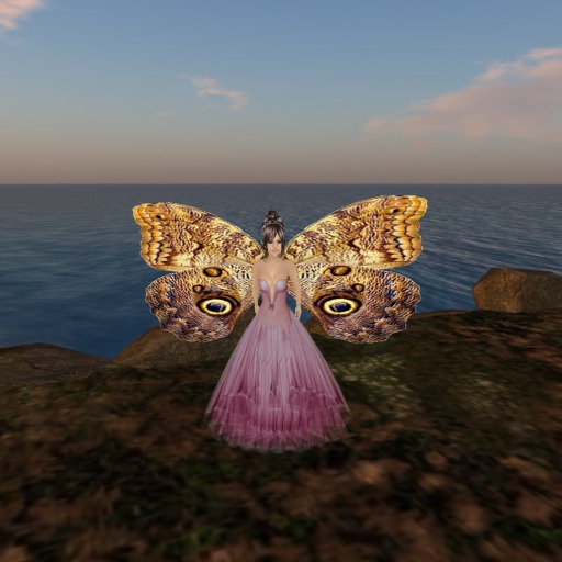 Petite Owl Butterfly Wings V1.0