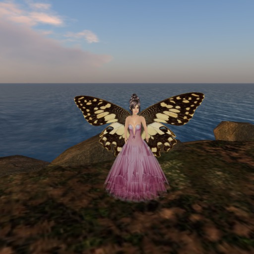 Petite Papilio zelicaon Butterfly Wings V1.0