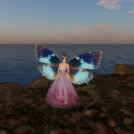 Petite Charaxes smaragdalis Butterfly Wings V1.0