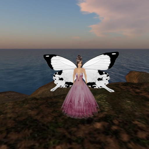 Petite Black & White Butterfly Wings V1.0