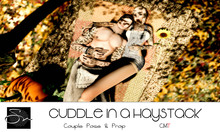 **SN~ Cuddle in a Haystack