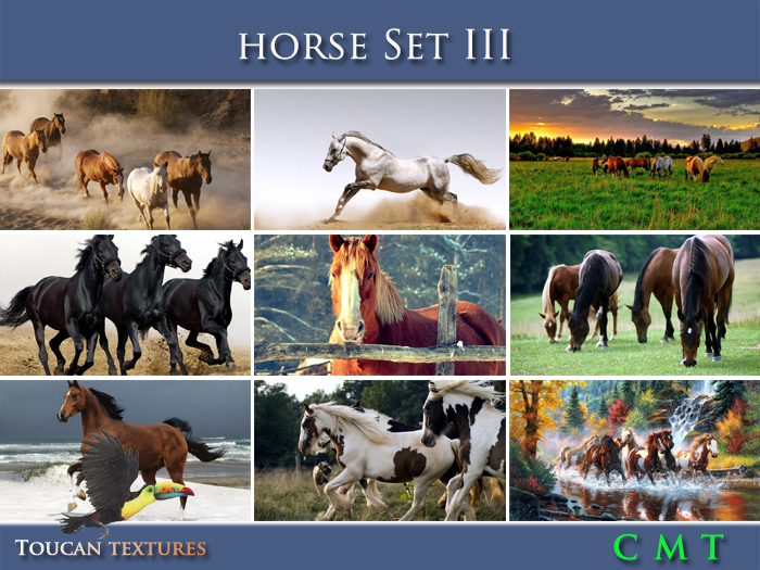 [Toucan Textures] Horse Set III