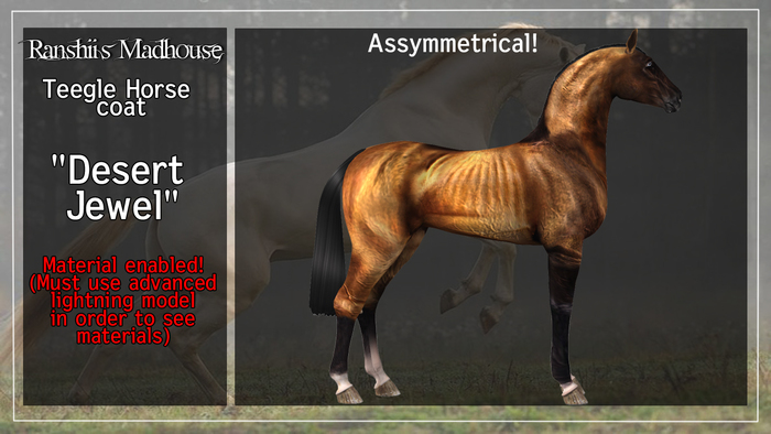 *RMH* Teegle coat "Desert Jewel" - Box