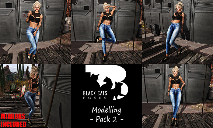 Black Cats poses - Modelling Pack 2 + mirrors