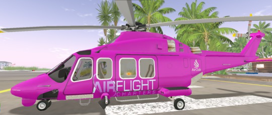 AirFlight Pink And Pink Cat D139
