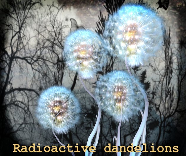 Boudoir Radioactive Dandelions plants