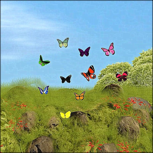 {ACD} Butterfly Rings