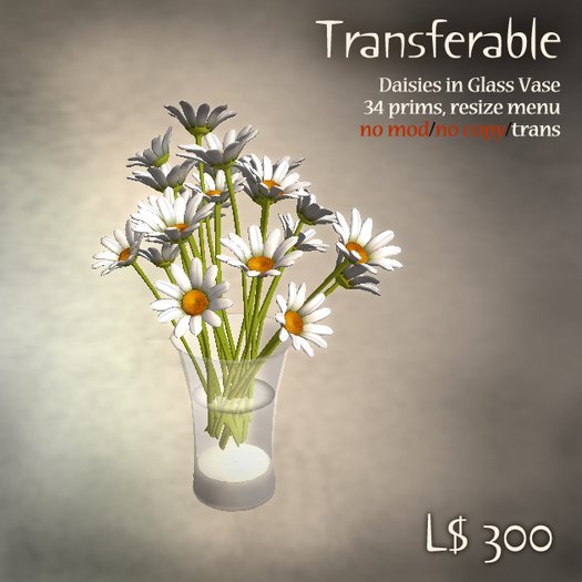 Daisies in Glass Vase(Boxed)