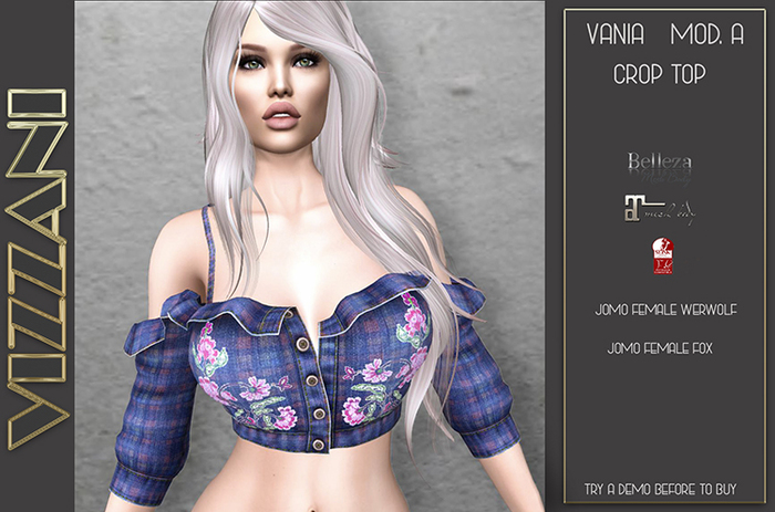 Affiliate Vendor Vizzani -> AVW0040