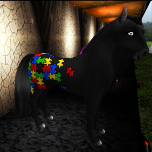 Limited Edition Black Puzzloosa