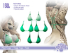 Tangatop mp teal