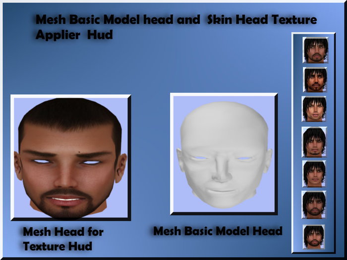 Mesh Basic Model head and  applier