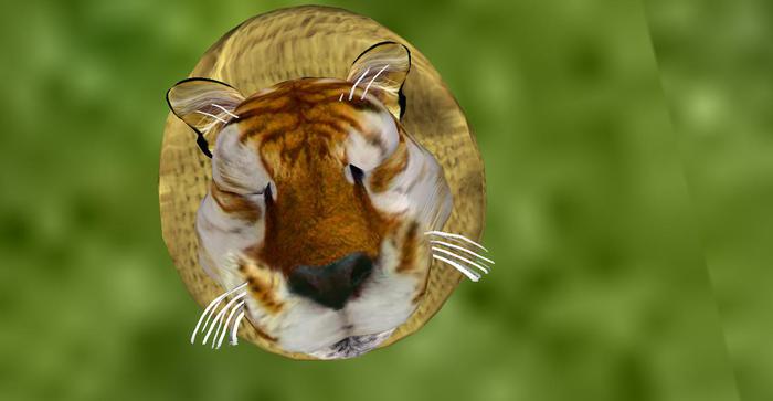 Female Hansi fur L8 T18 WK