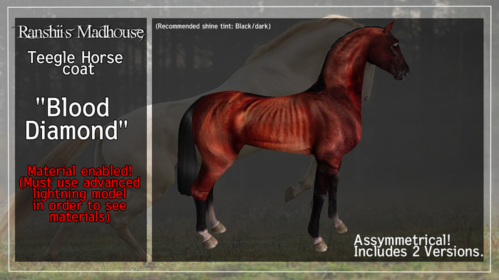 *RMH* Teegle horse coat "Blood Diamond" -  Box