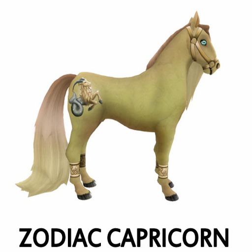Zodiac Capricorn