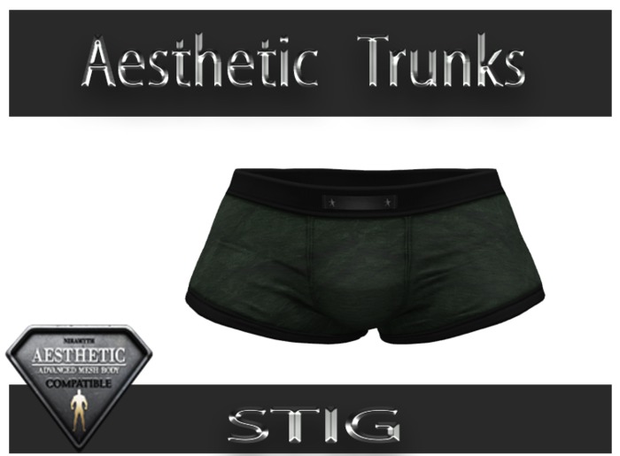 Aesthetic Mesh Trunks
