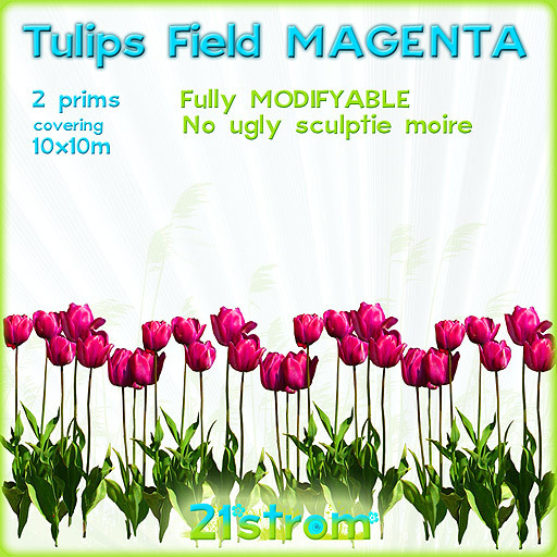Tulip Field MAGENTA - 2prim sculpted grass field groundcover green lawn COPY+MODIFY