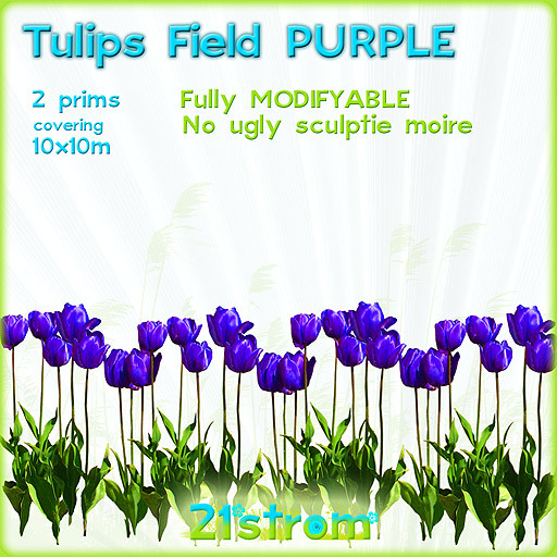 Tulips Field PURPLE - 2prim sculpted grass field groundcover green lawn COPY+MODIFY