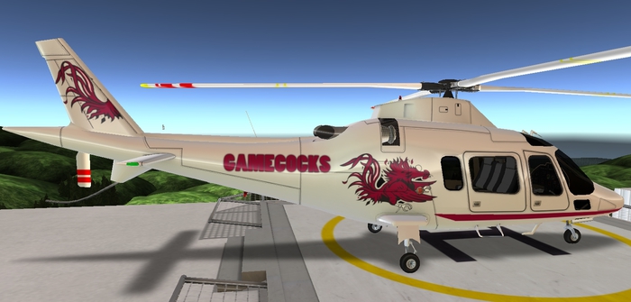 Gamecocks D109