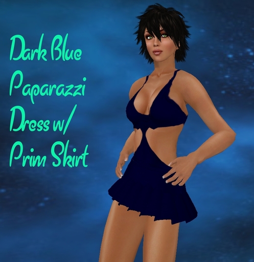 Dark Blue Paparazzi Dress