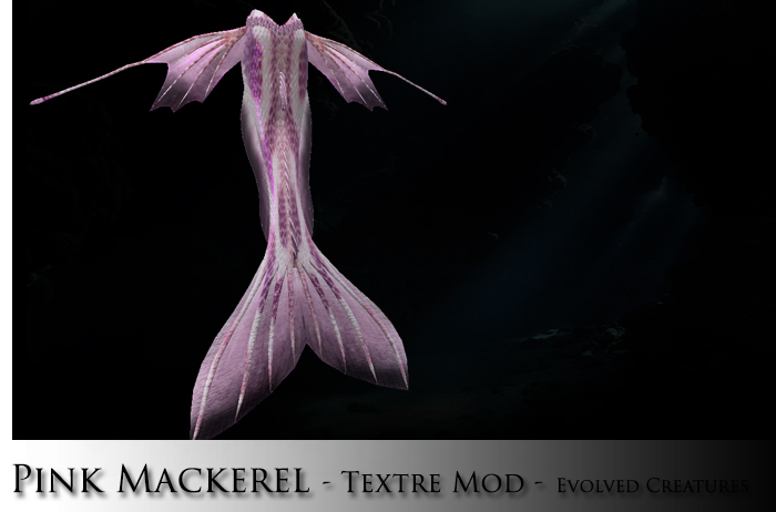 Pink Mackerel - EC Texture