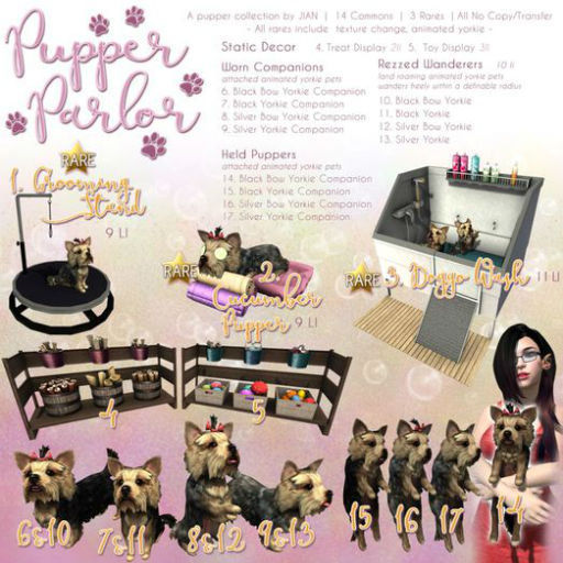JIAN Pupper Parlor 9. Silver Companion BOX