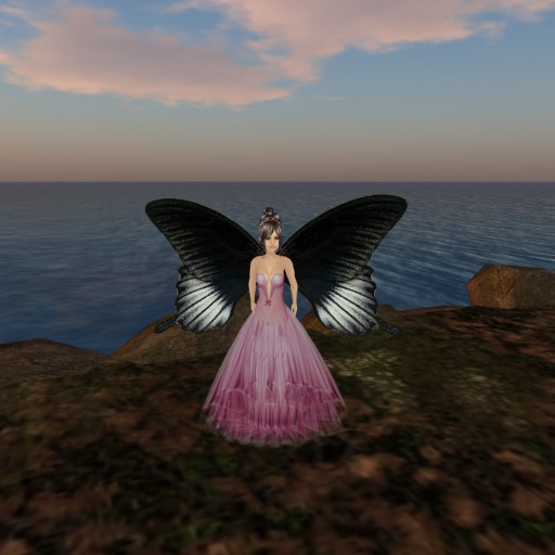 Petite Battus philenor Butterfly Wings V2.0