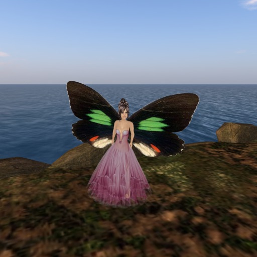 Petite Spotted OrangeGreenWhite Butterfly Wings V2.0