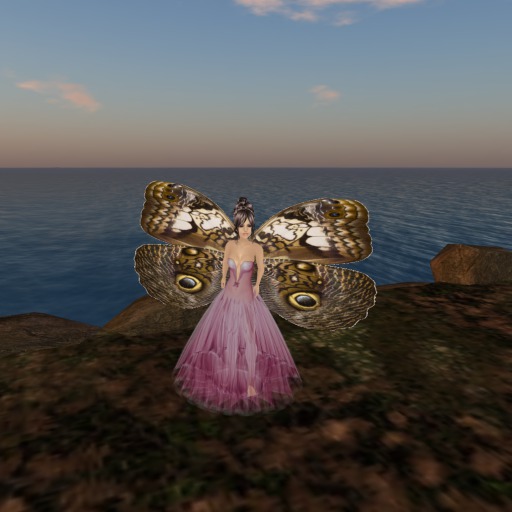 Petite Caligo Martia Butterfly Wings V2.0