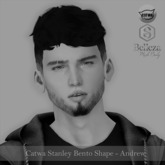 { Harmonious } - Andrew Bento Shape DEMO