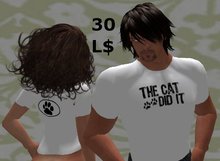 The cat did it