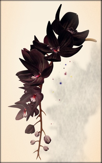 *LODE* Head Accessory - Orchkakis [black maroon]