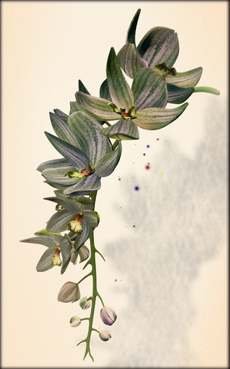 *LODE* Head Accessory - Orchkakis [green]