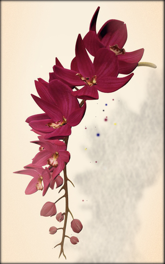 *LODE* Head Accessory - Orchkakis [maroon]