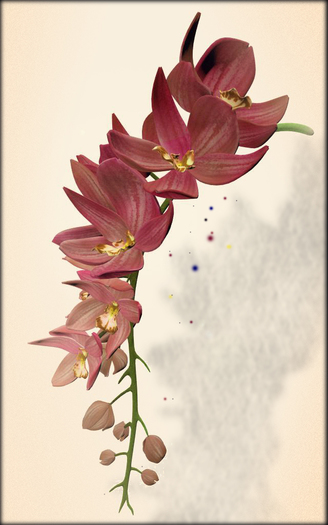 *LODE* Head Accessory - Orchkakis [pink]