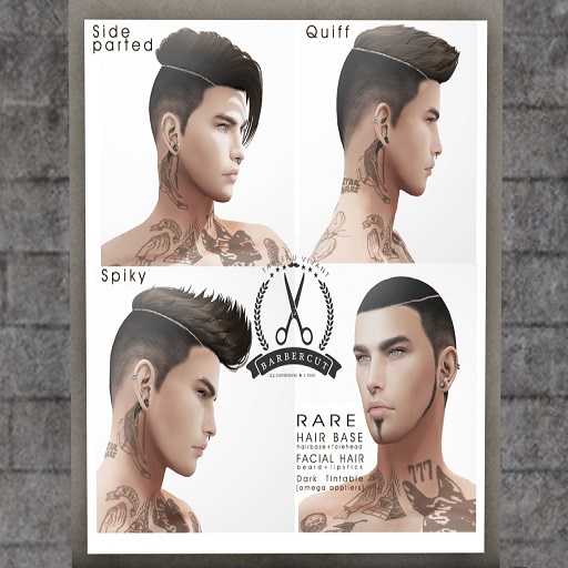 Tableau Vivant \\ Barbercut - Quiff - Reds