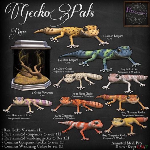 2. *HEXtraordinary* Lemon Gecko Companion - RARE