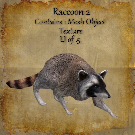 Bad Katz Raccoon 2