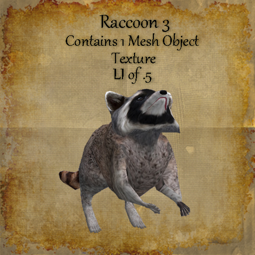 Bad Katz Raccoon 3