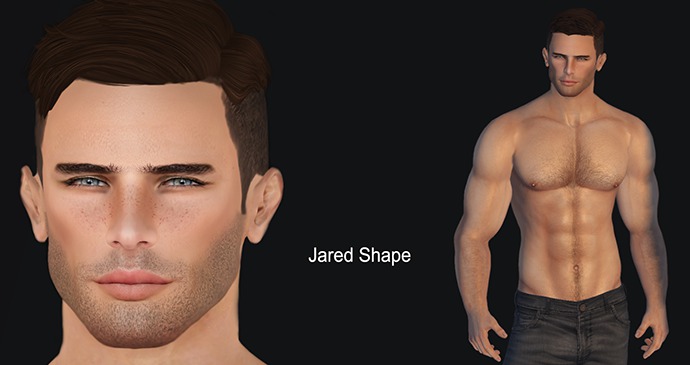 JARED - SHAPE - FOR JARED APPLIER - EDITION