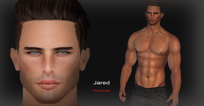 JARED - SHAPE 2 - FOR JARED APPLIER - EDITION 
