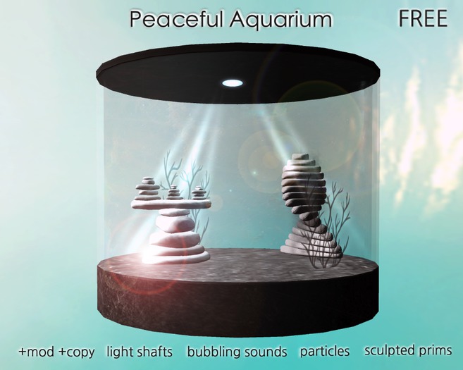 Peaceful Aquarium