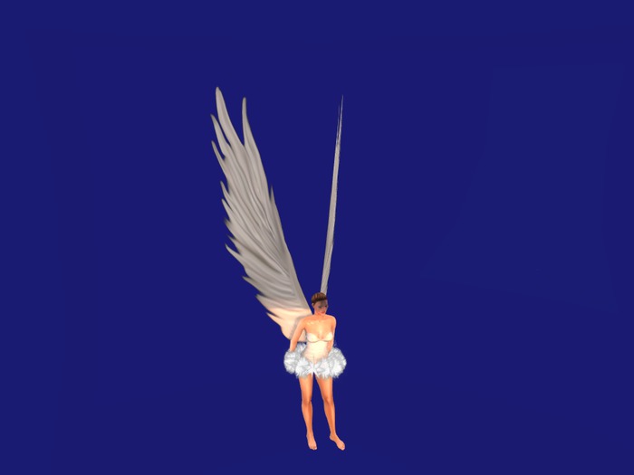 Angel outfit classic with appliers