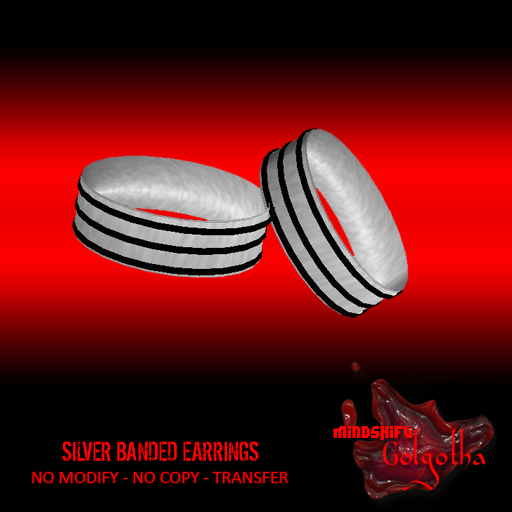 Mindshift - Banded Silver Ear Rings