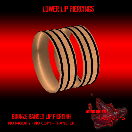 Mindshift - Banded Bronze Lip Ring