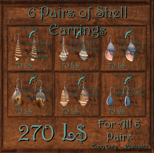 All 6 Pairs-Shell Earrings