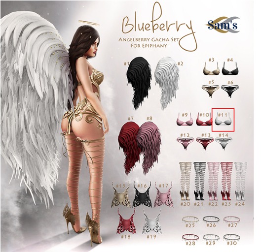 #26 Blueberry - Angelberry -Common- Halo - Slayer *Physique*